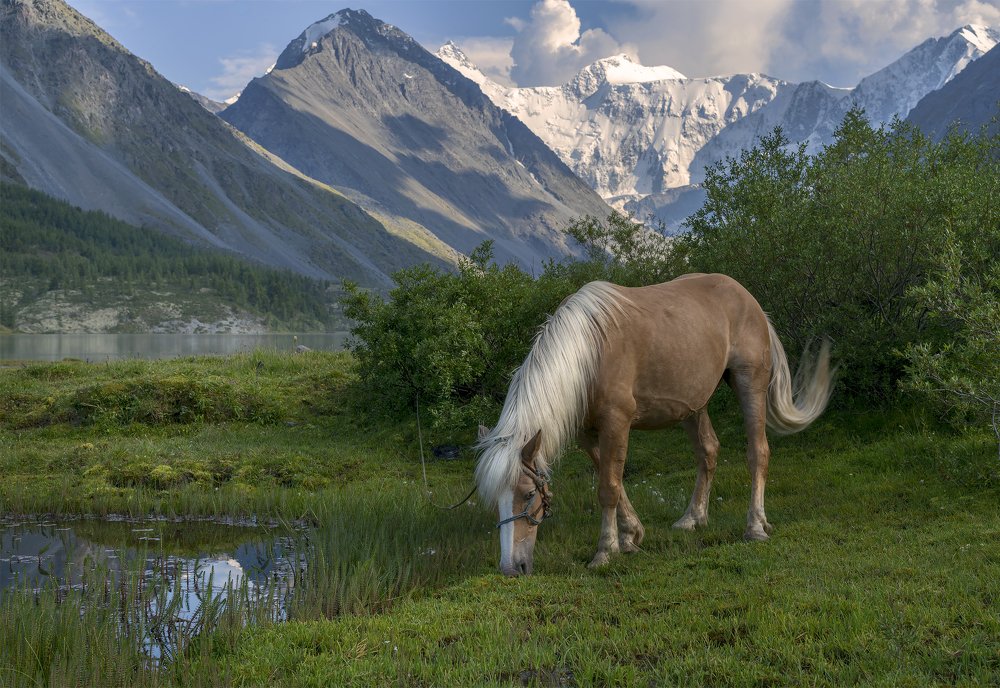 Photograph by Евгения Буш