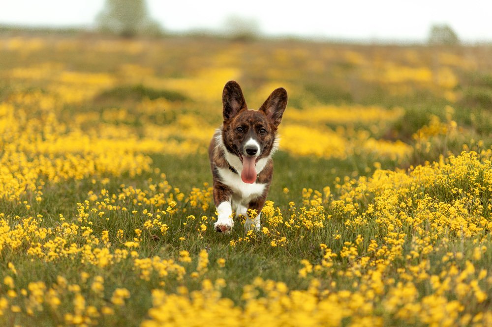 Photograph by Юлия Мальнева