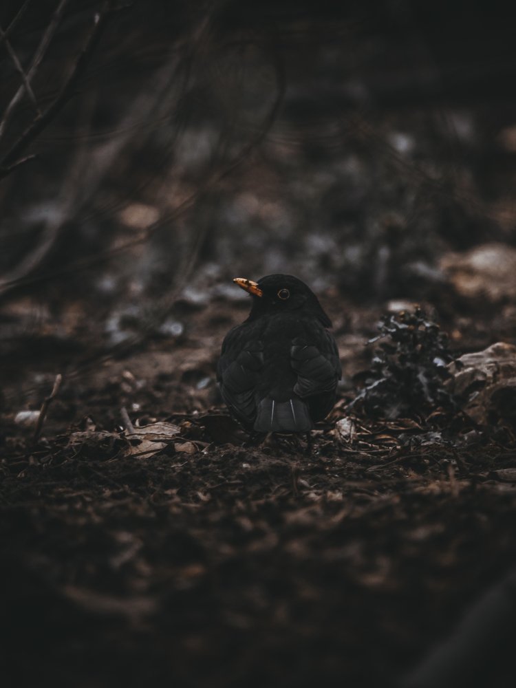 Photograph by Андрей Ероха