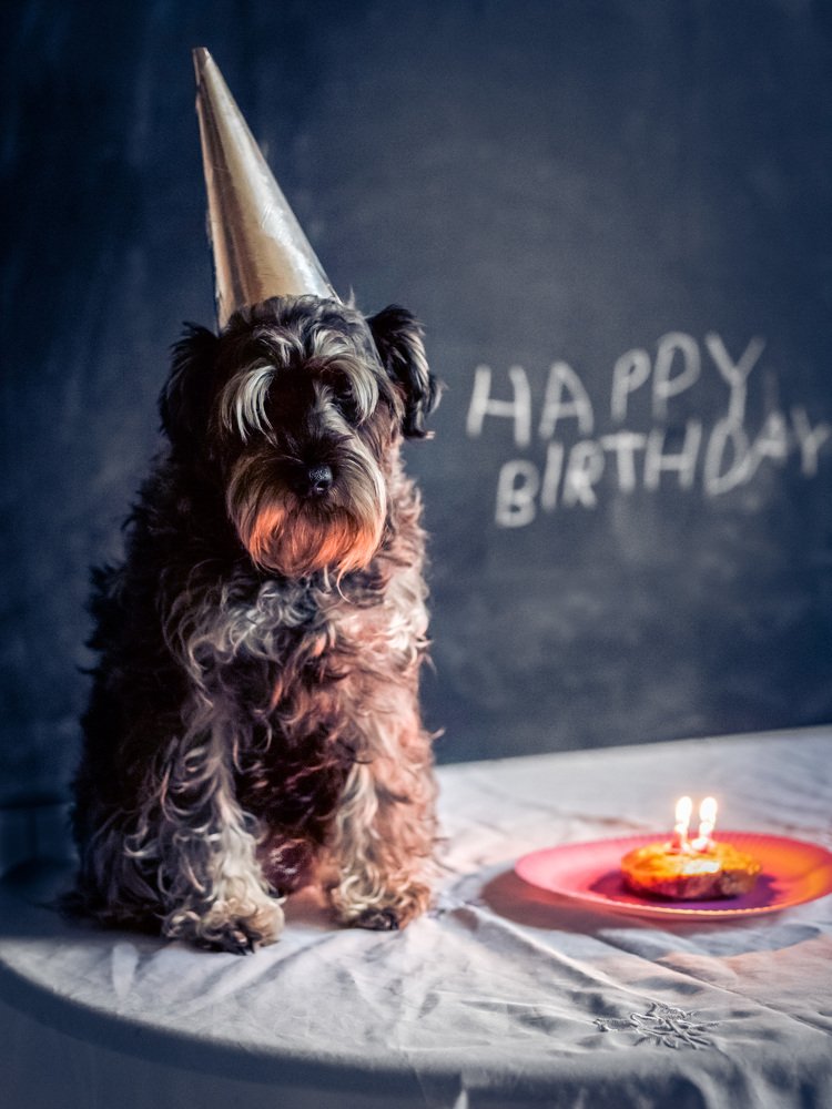 Photograph by Алла Вовк