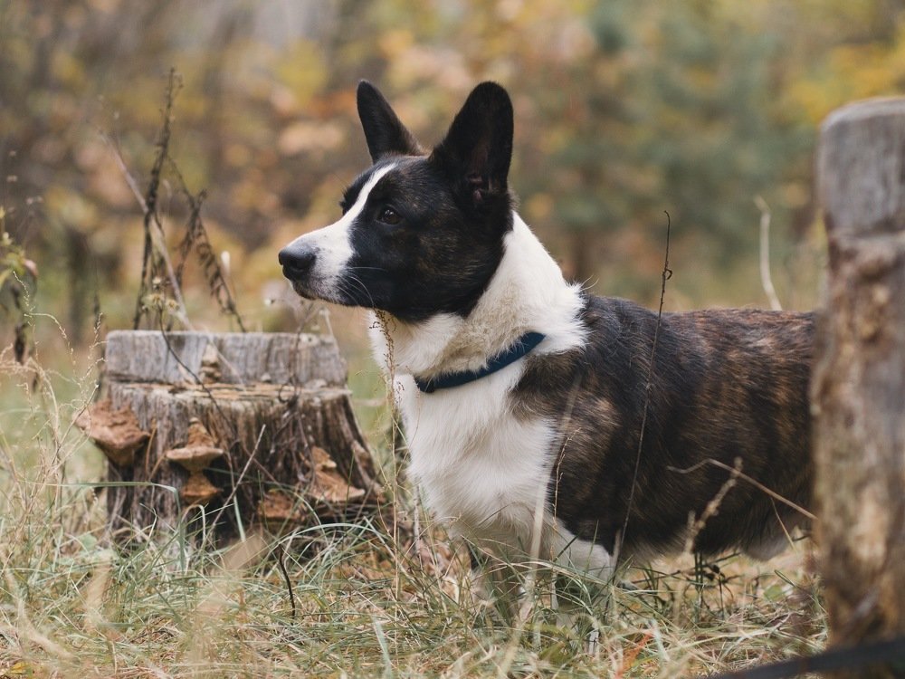 Photograph by Юлия Мальнева