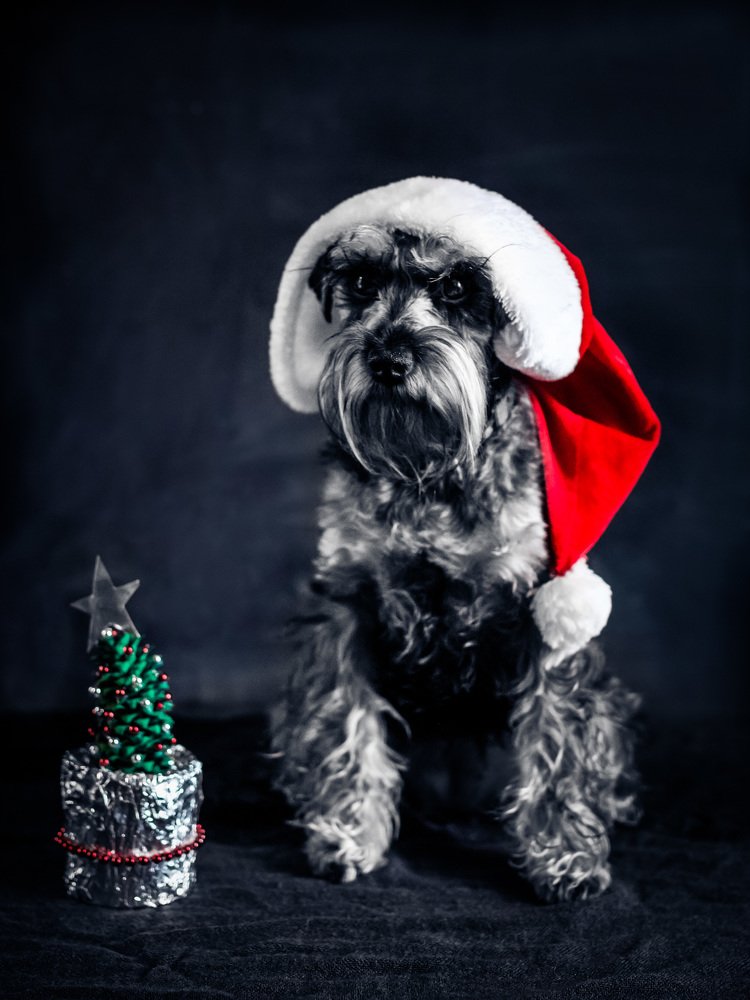 Photograph by Алла Вовк