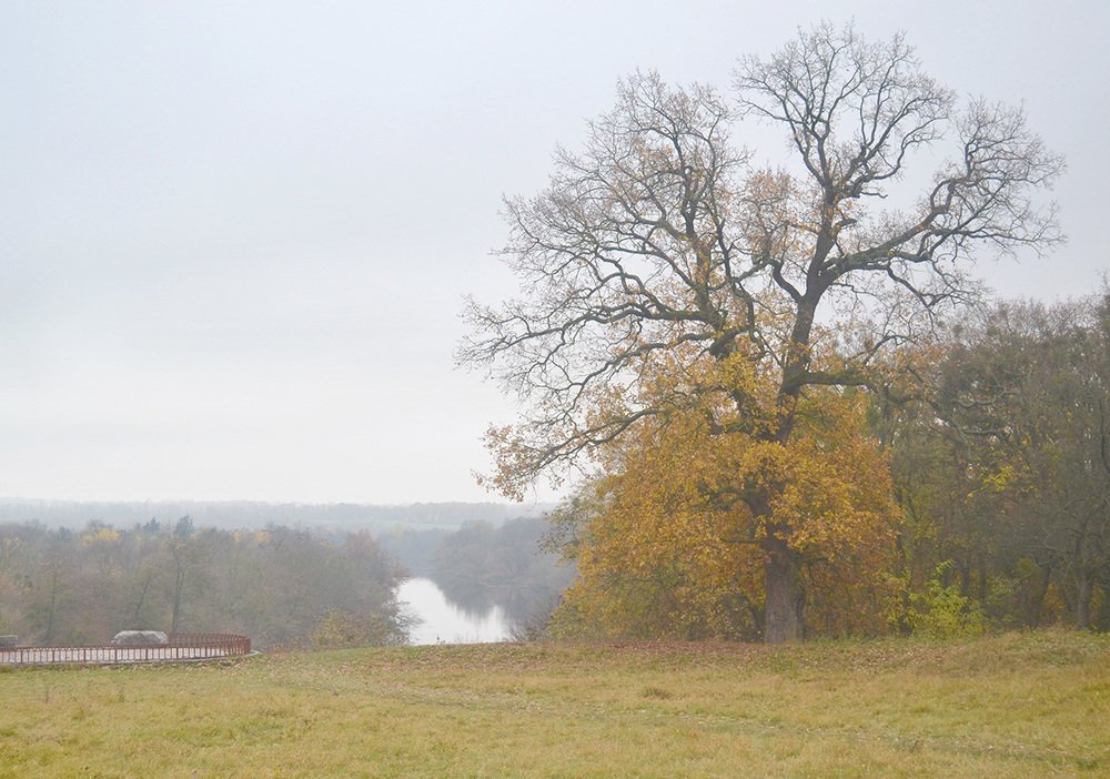 Photograph by Сергей Рулевский