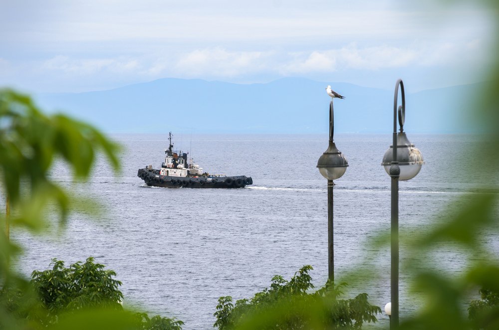 Photograph by Равиль Исмаилов