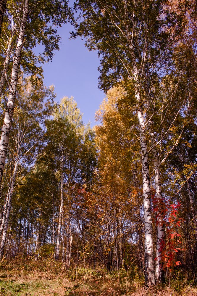 Photograph by Людмила Сливкина