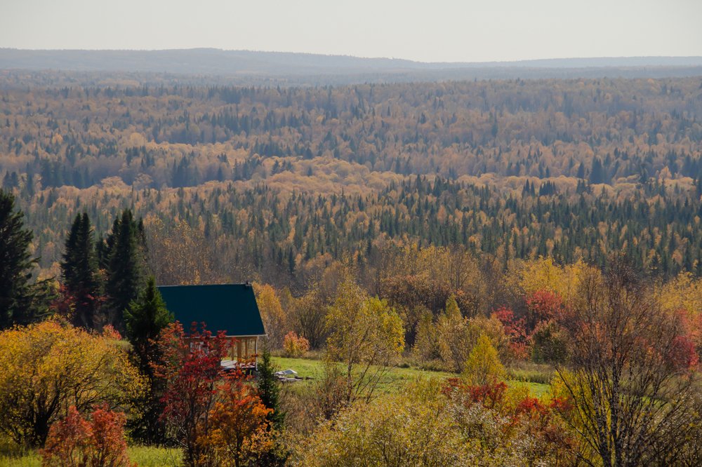 Photograph by Людмила Сливкина
