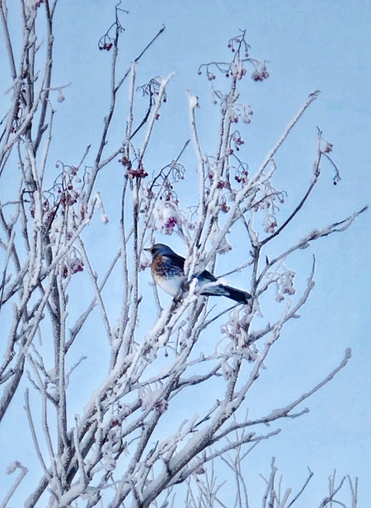 Photograph by Оксана Шеховцова