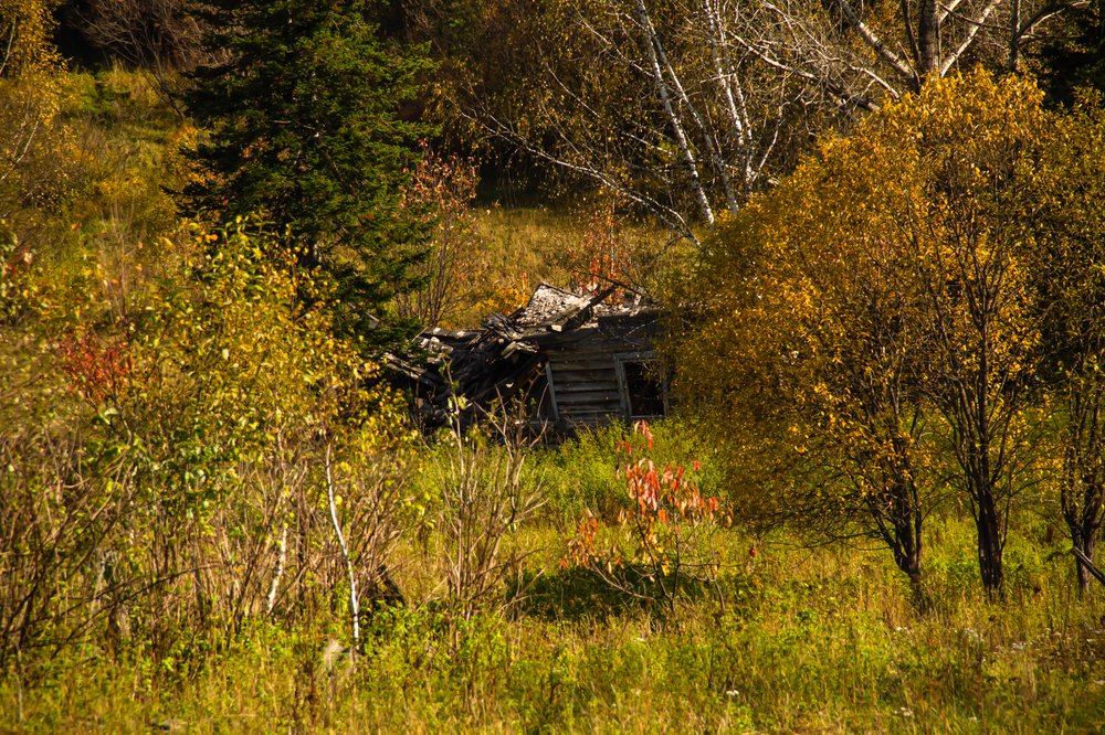 Photograph by Людмила Сливкина