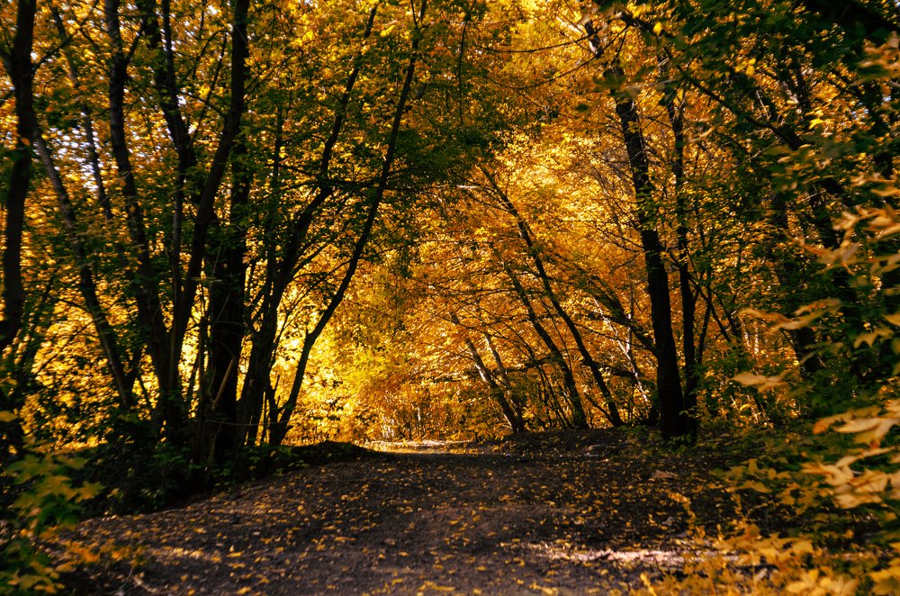 Безмятежность