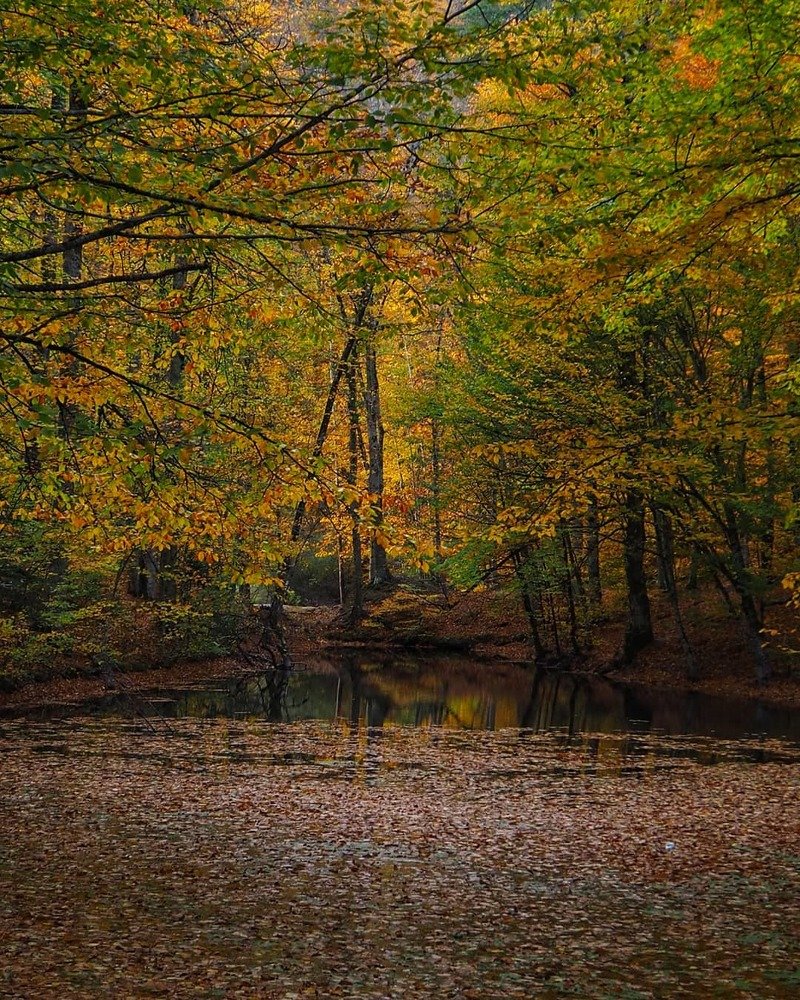 Photograph by Ольга Эркызан