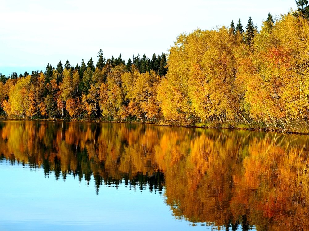 Photograph by Евгений Яковлев