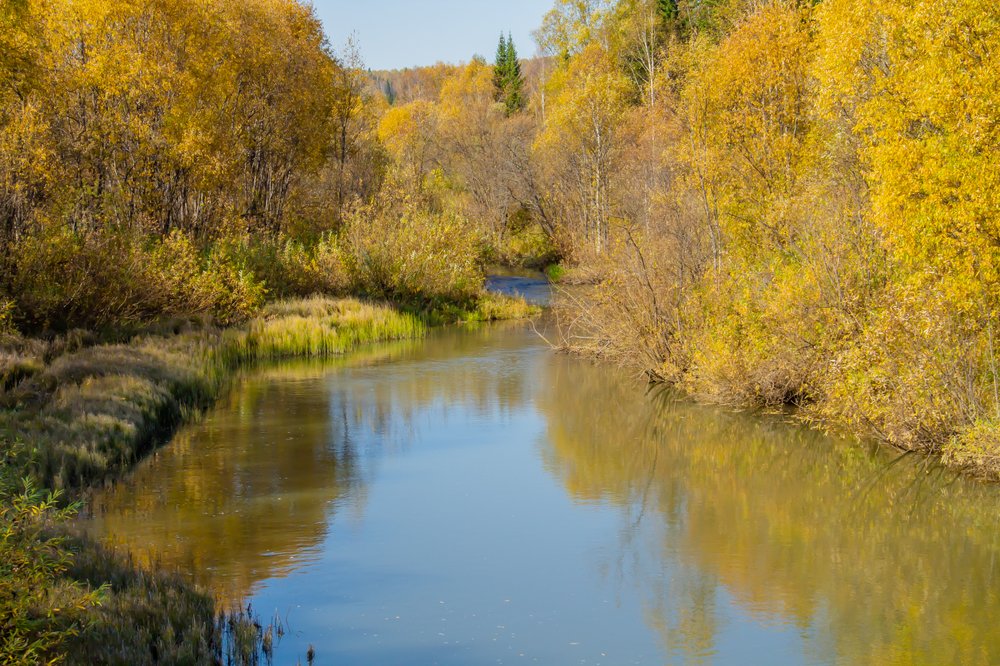 Photograph by Людмила Сливкина