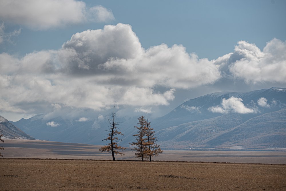 Photograph by Aleksei Kurlov