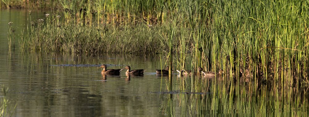 Фотография автора Олег Смирнов
