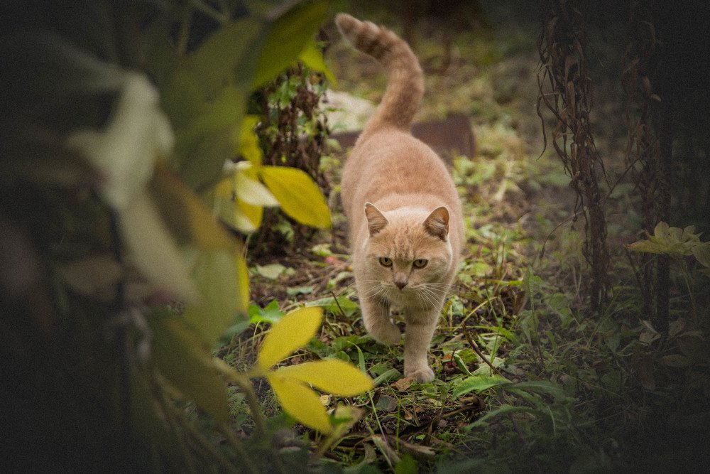 Photograph by Елена Прохорова