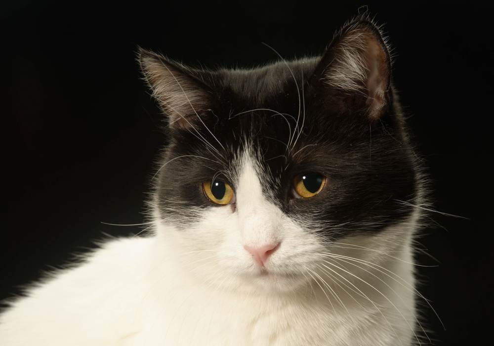 Photograph by Андрей Белоусов