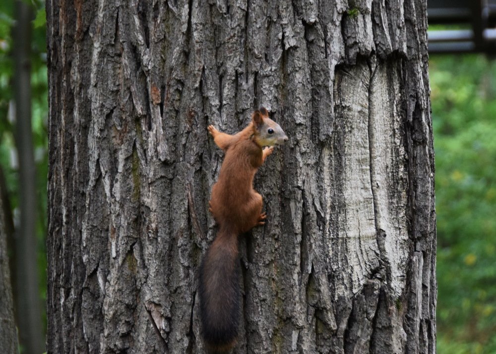 Photograph by Galina Leskova