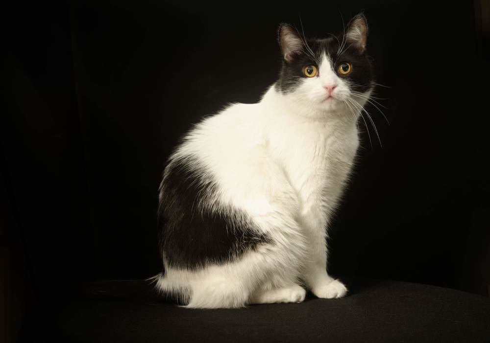 Photograph by Андрей Белоусов