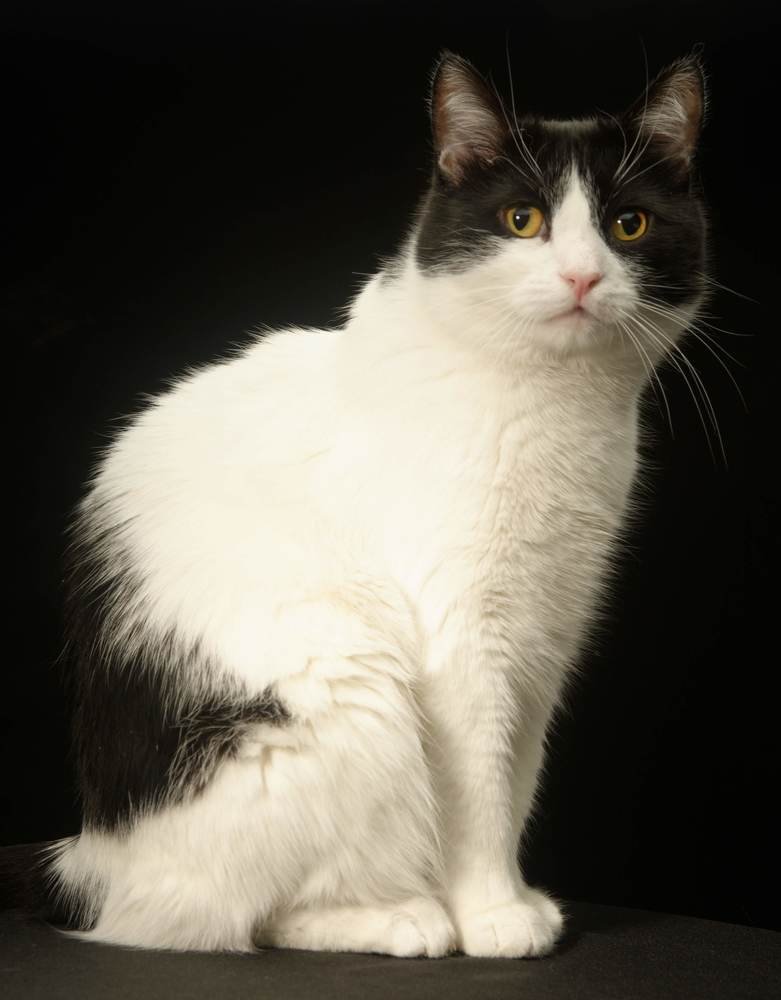 Photograph by Андрей Белоусов