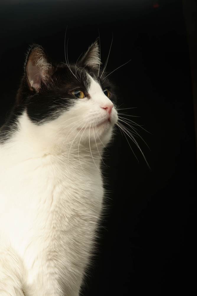 Photograph by Андрей Белоусов