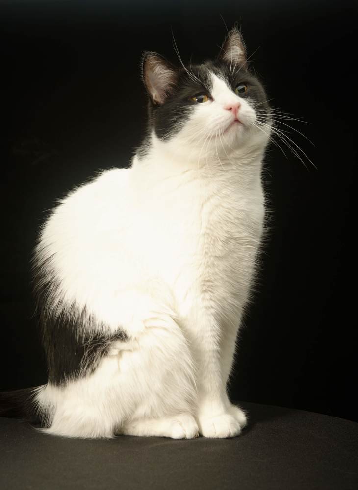 Photograph by Андрей Белоусов