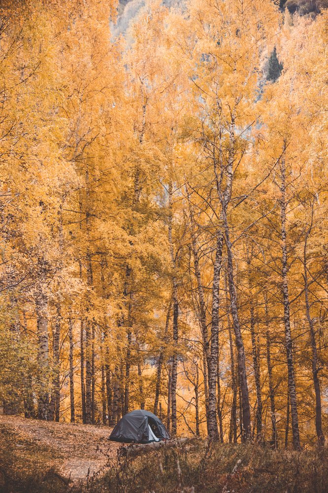 Photograph by Родионова Ксения