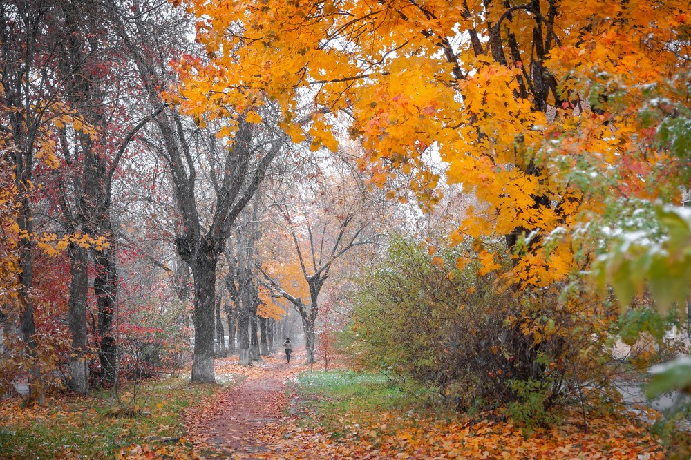 Первый снег