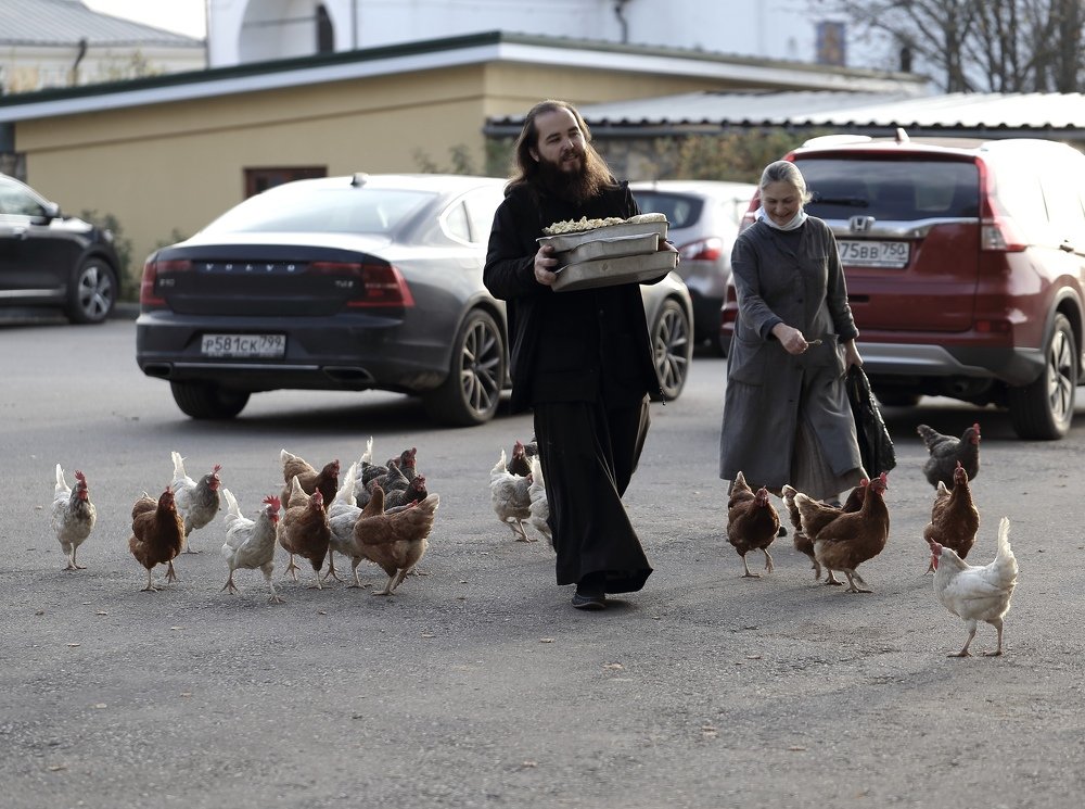 Photograph by Михаил