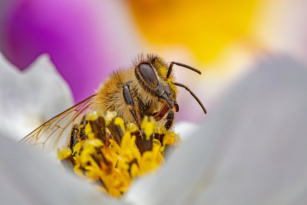 Photograph by Иван Радьков