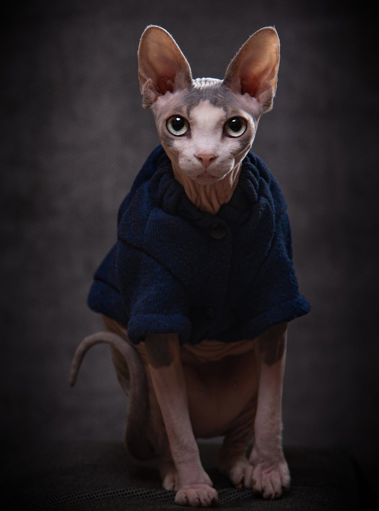 Photograph by Ольга Власенко