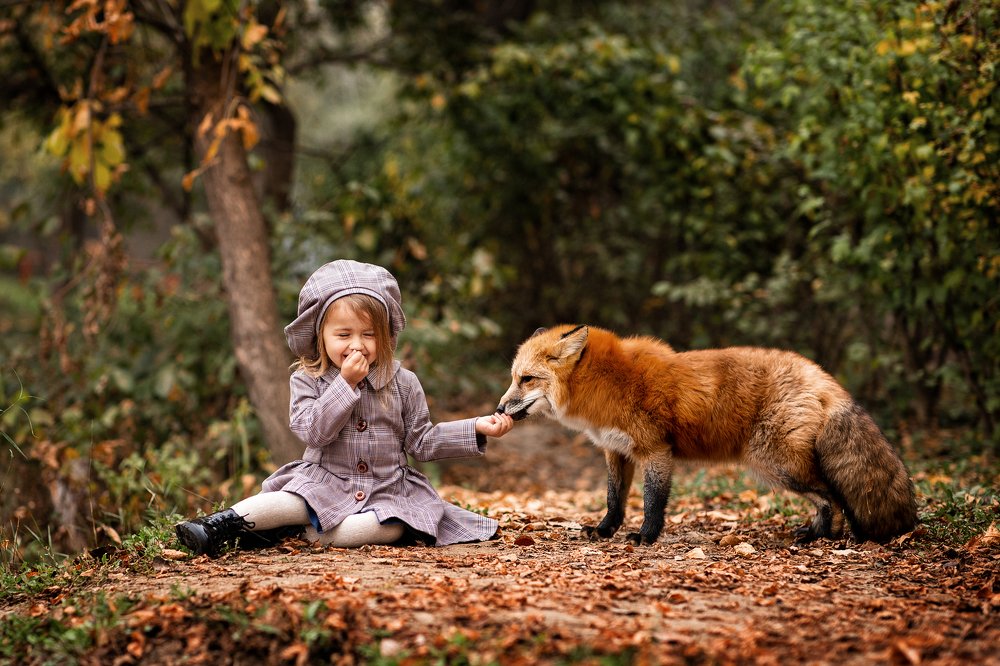 Photograph by Дайман Лия