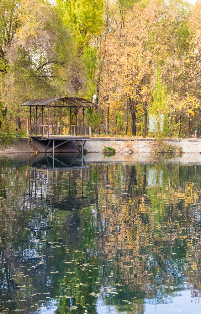 Photograph by Родионова Ксения