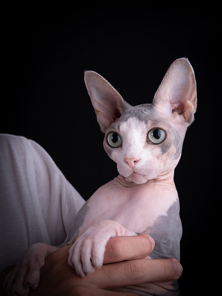 Photograph by Ольга Власенко