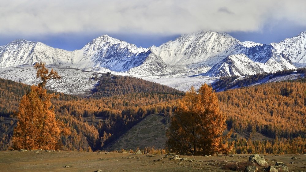 Photograph by Андрей Кузнецов