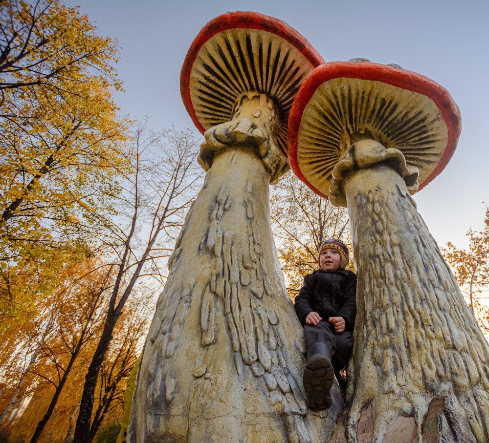 Photograph by Анастасия Попельская