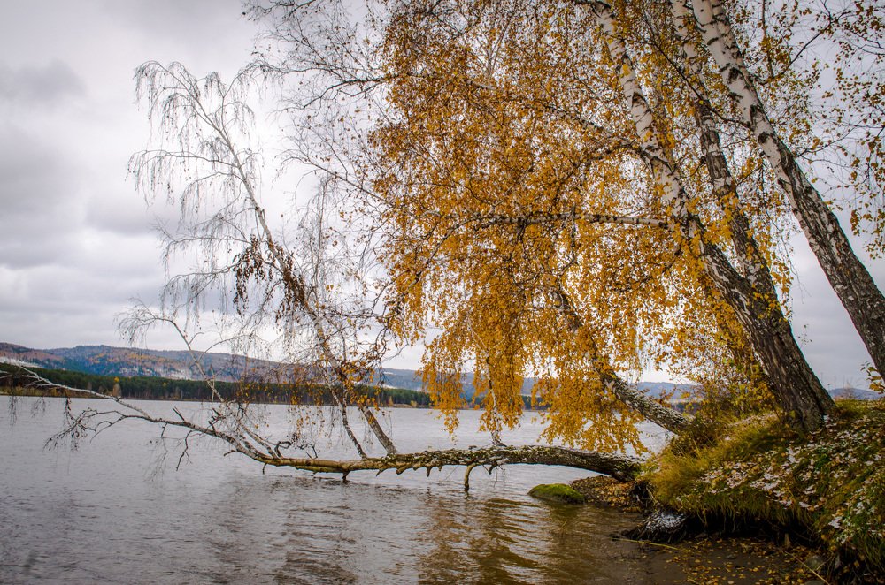 Осень на Озере.