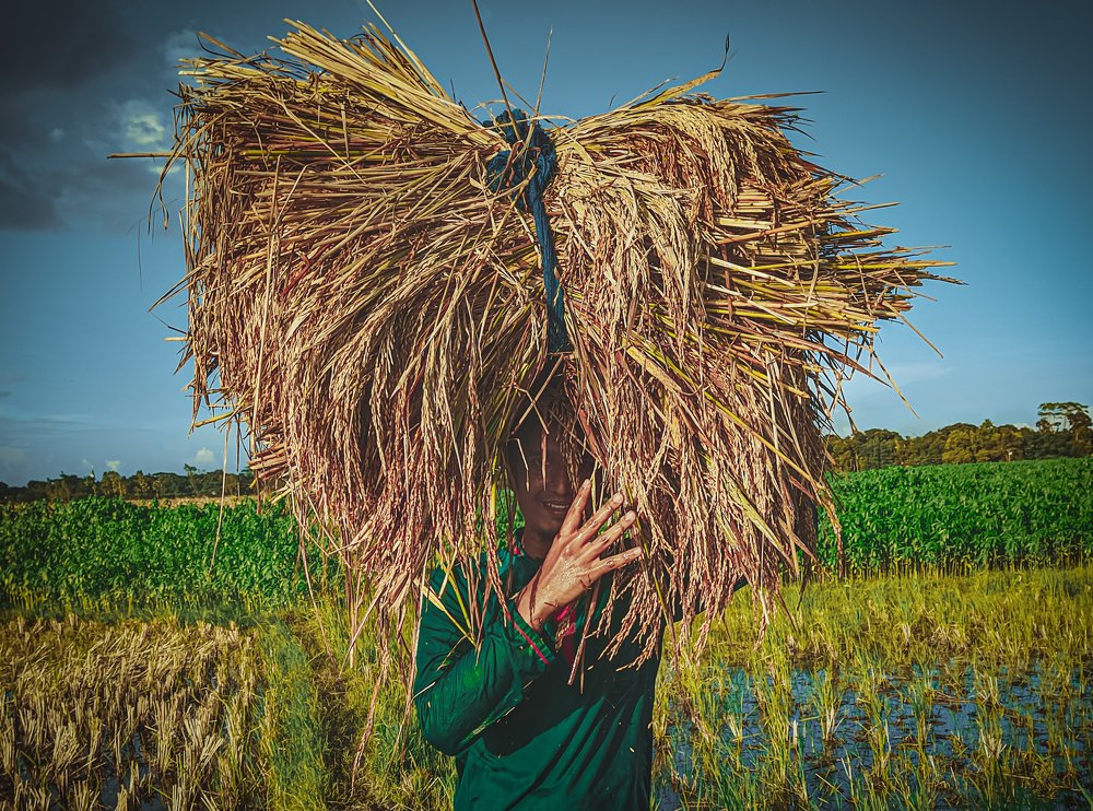 Photograph by Hossain Shahin