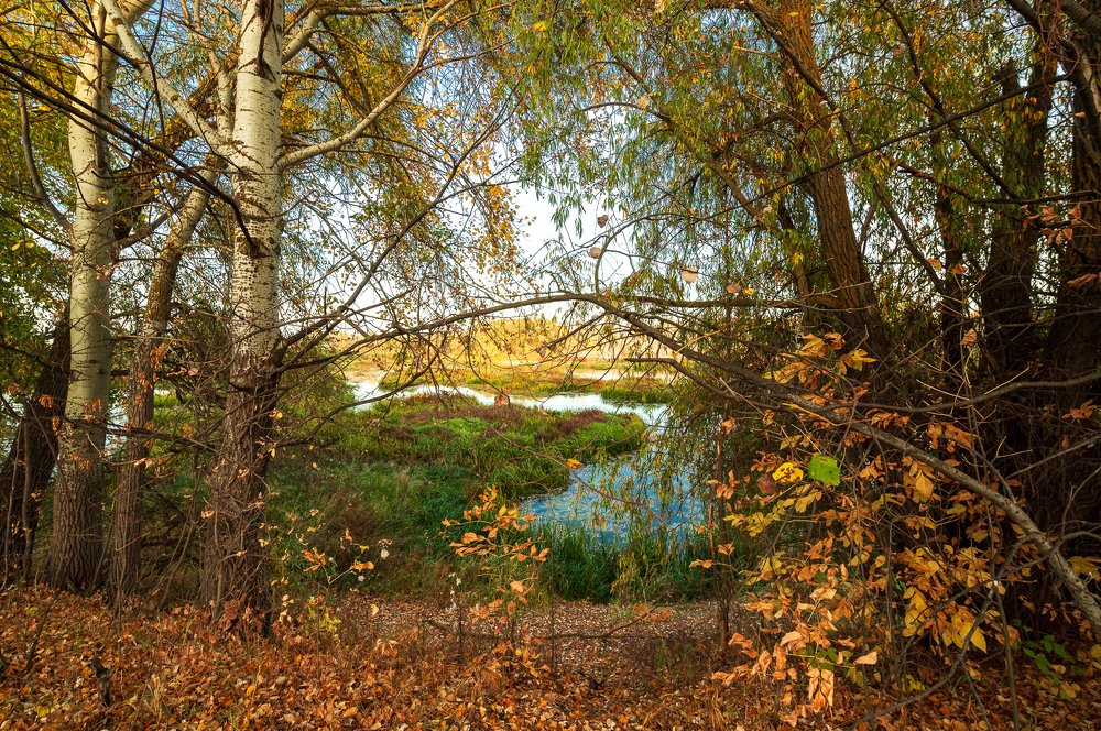 Photograph by Юрий Москалев