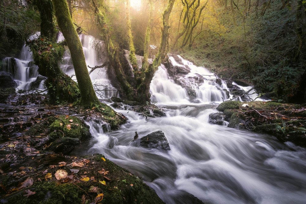 Photograph by Borja Rial Pereira