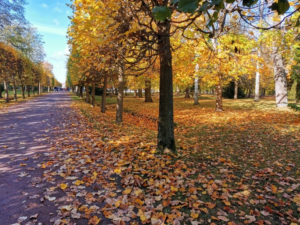 Photograph by Наталья
