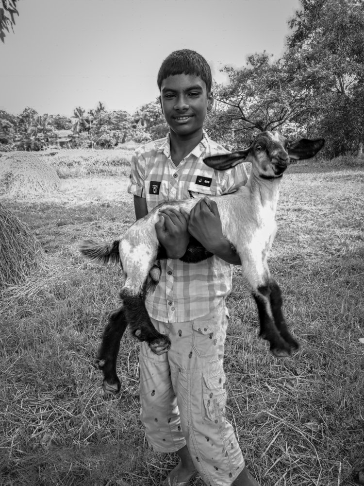 Photograph by Hossain Shahin