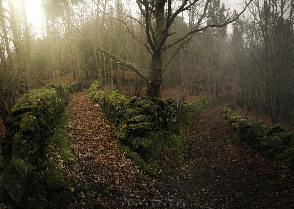 Photograph by Borja Rial Pereira