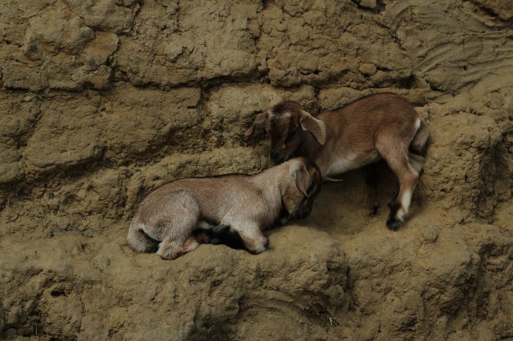 Photograph by Sourav Chakraborty