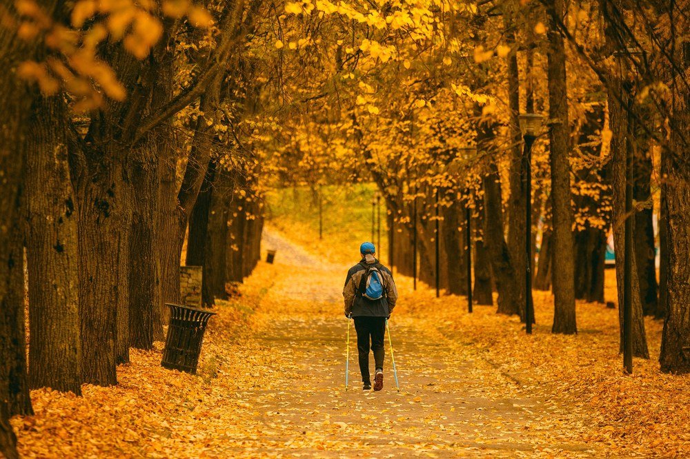 Photograph by Алексей Сулла