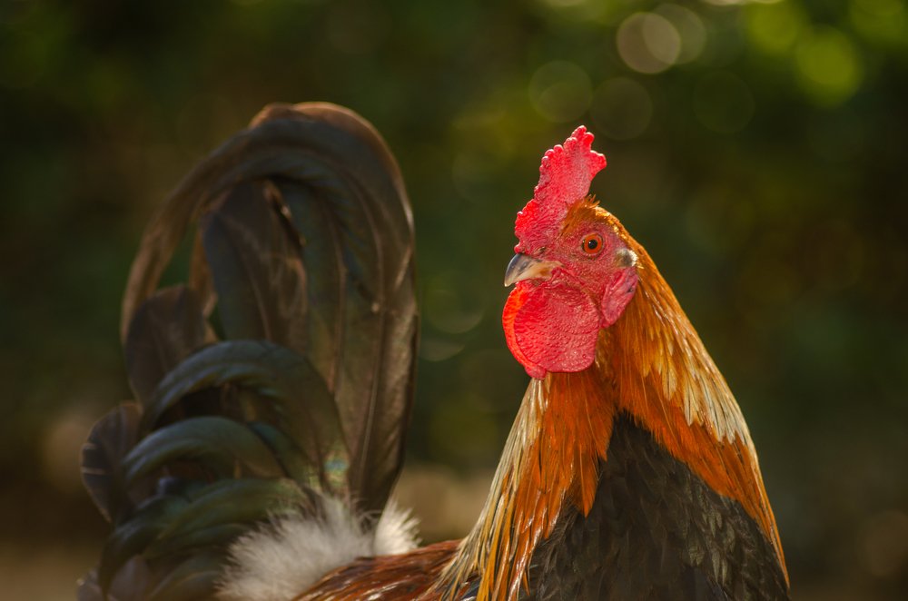 Photograph by David Alcaide