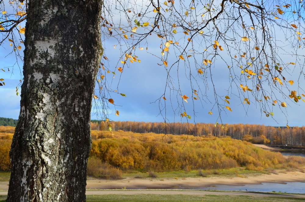 Photograph by Valentina