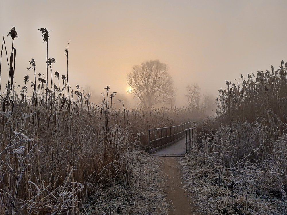 One foggy morning ...