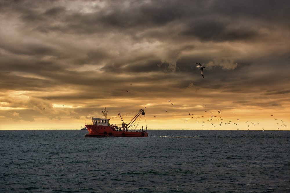 Photograph by Сергей Епишев