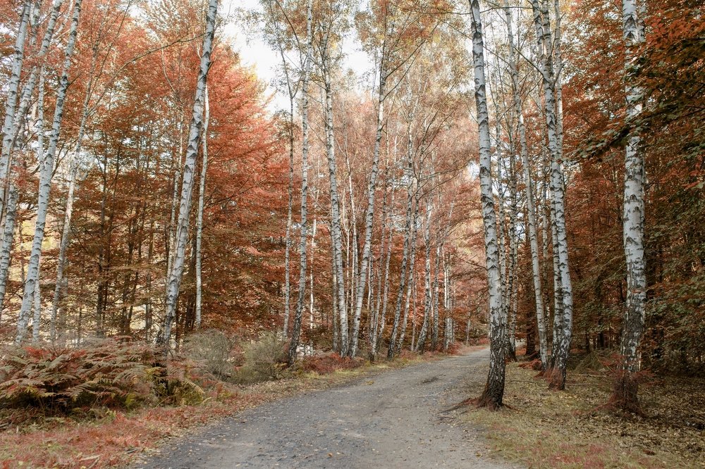 Photograph by Had Ka