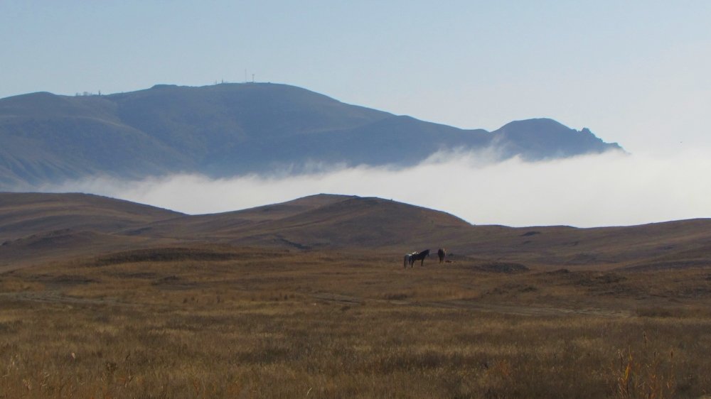 Осенние туманы Меганома